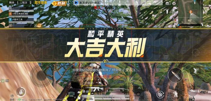 和平精英卡盟低价自助下单 - 实用辅助自由选择